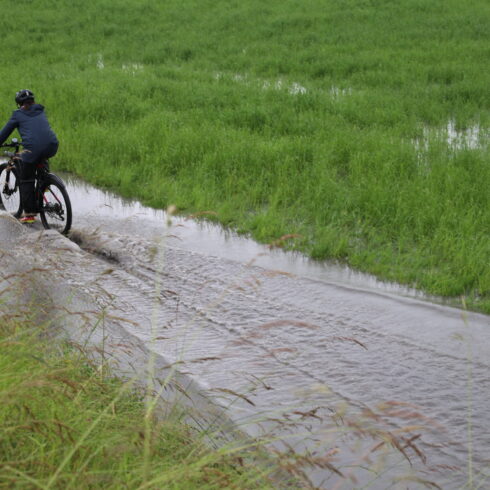 bike to work Challenge
