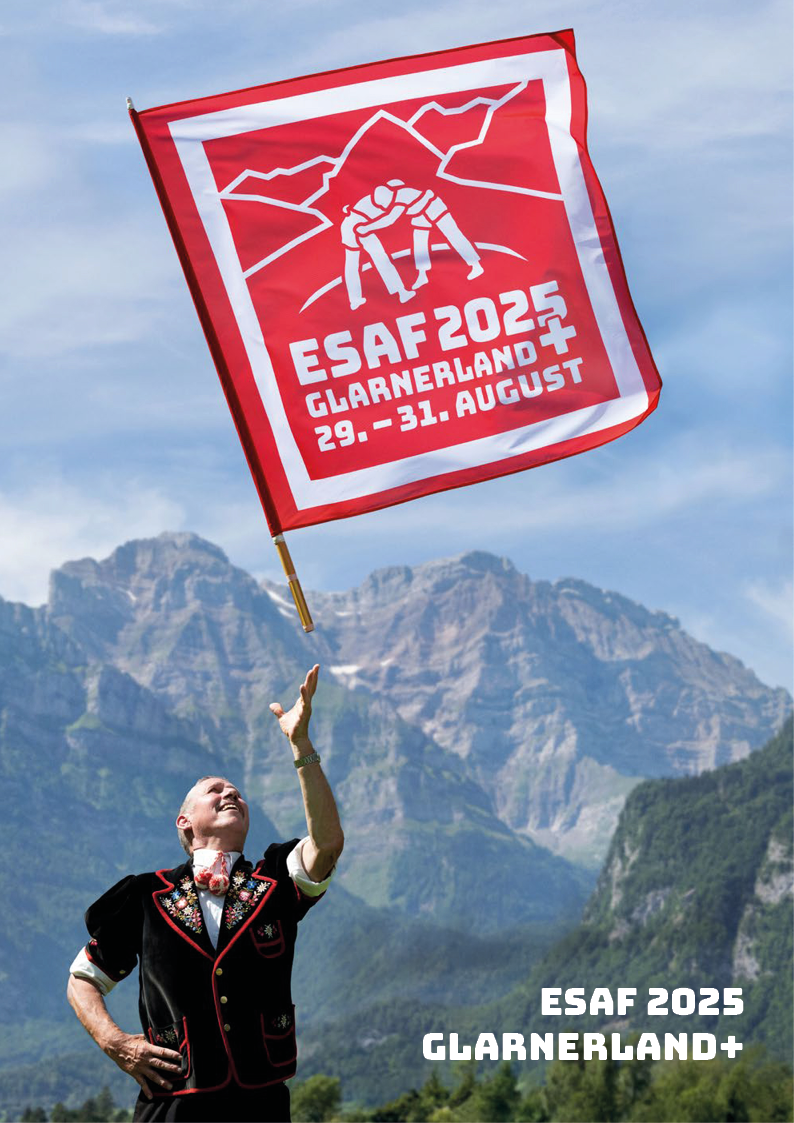 Schlussbericht ESAF Glarnerland, redIT, Informatik, IT Partner